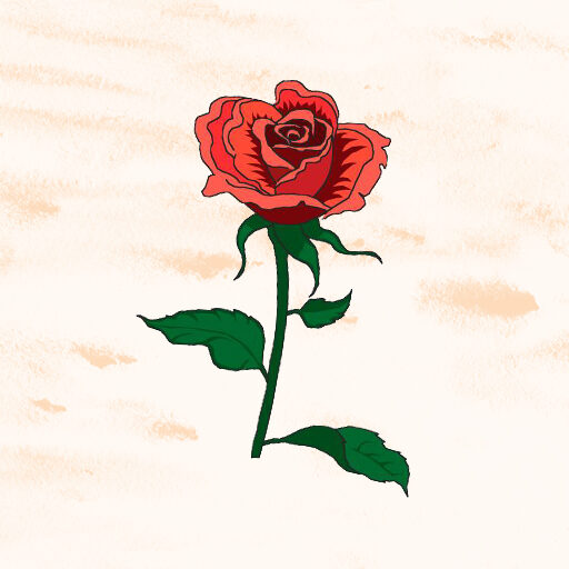 Pflegeheim Haus Rose